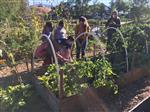 bonito garden visit